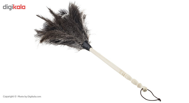 گردگیر مشهد داستر مدل Ostrich
