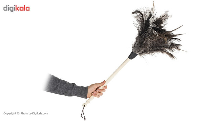 گردگیر مشهد داستر مدل Ostrich