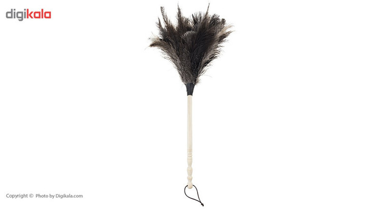 گردگیر مشهد داستر مدل Ostrich